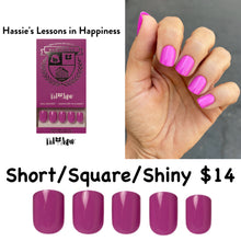 Load image into Gallery viewer, Hassies Lessons in Happiness Dash