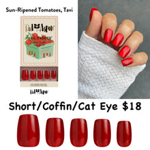 Load image into Gallery viewer, Sun-Ripened Tomatoes, Tavi Dash