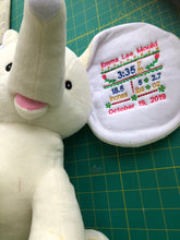 Load image into Gallery viewer, Lion Cubbie