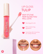 Load image into Gallery viewer, Red Aspen Lip Gloss Tulip
